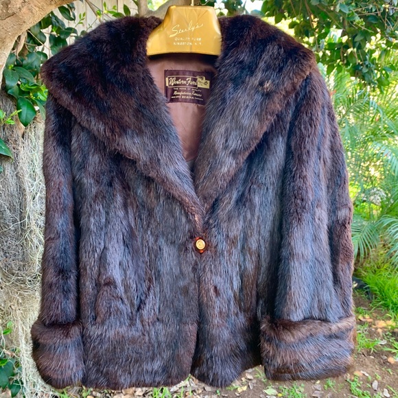 Muskrat Fur Bolero Huge Collar Vintage Coat Canada - Picture 9 of 10